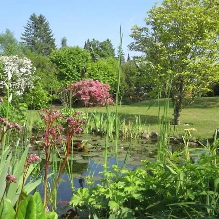 Mit Grill Und Garten Malente